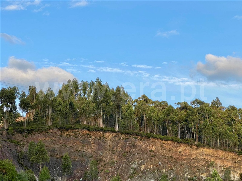 Lote Industrial  Paredes, Gandra - 1181188 - 6