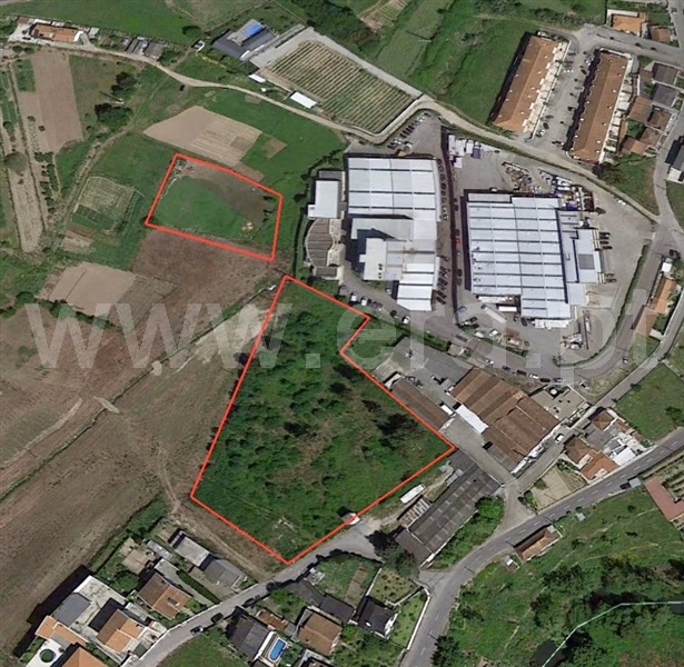 Lote Industrial / Paredes, Paredes
