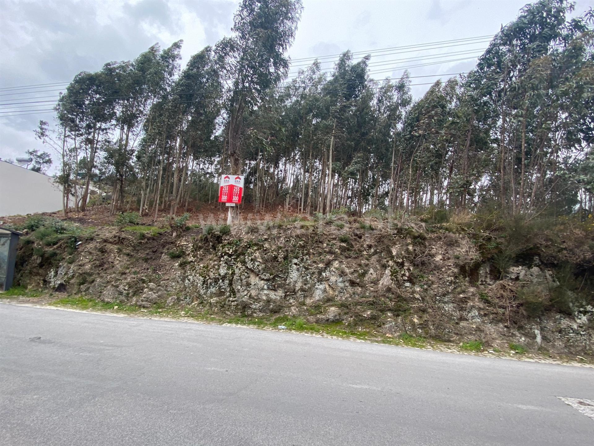 Land for sale in Paredes, Portugal — €62,000