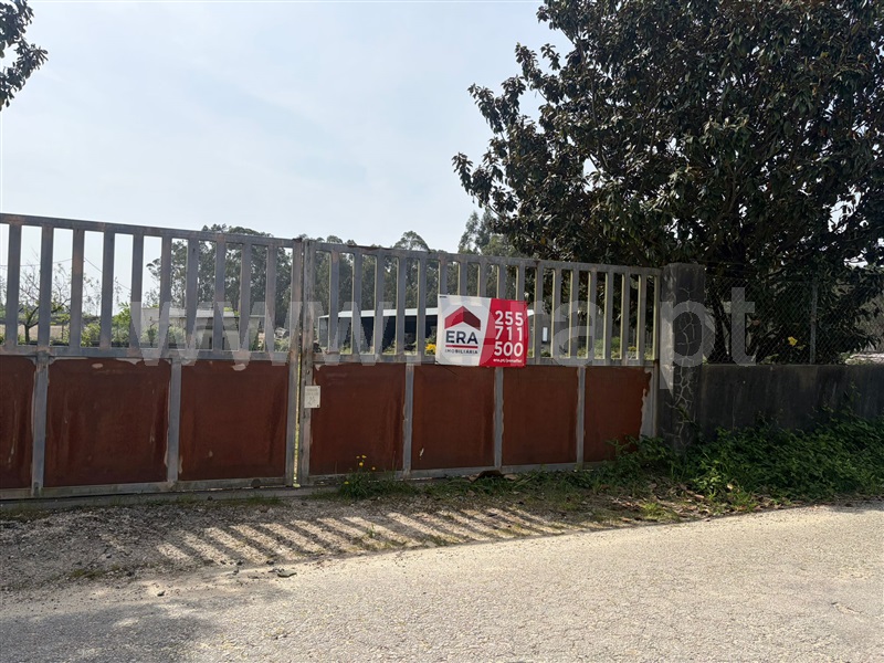 Lote Industrial / Paredes, Vandoma
