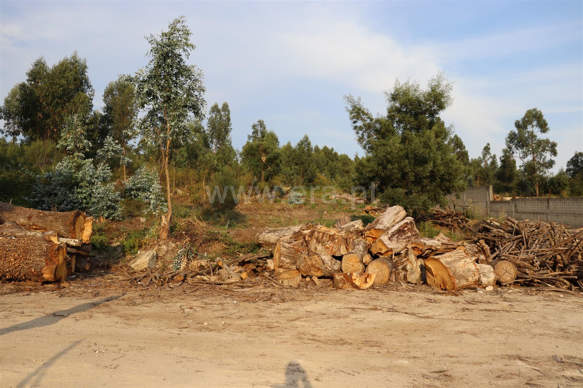 Land for sale in Paredes, Portugal — €56,500