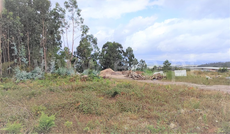 Lote Industrial  Penafiel, Rans - 1342430 - 12