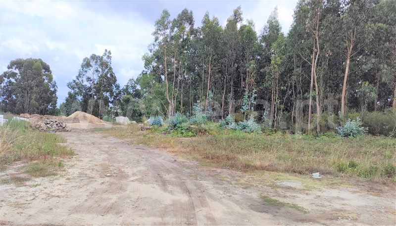 Lote Industrial  Penafiel, Rans - 1342430 - 14