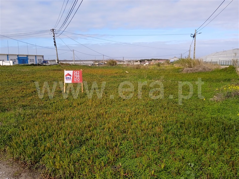 Lote Industrial / Peniche, Porto de Lobos