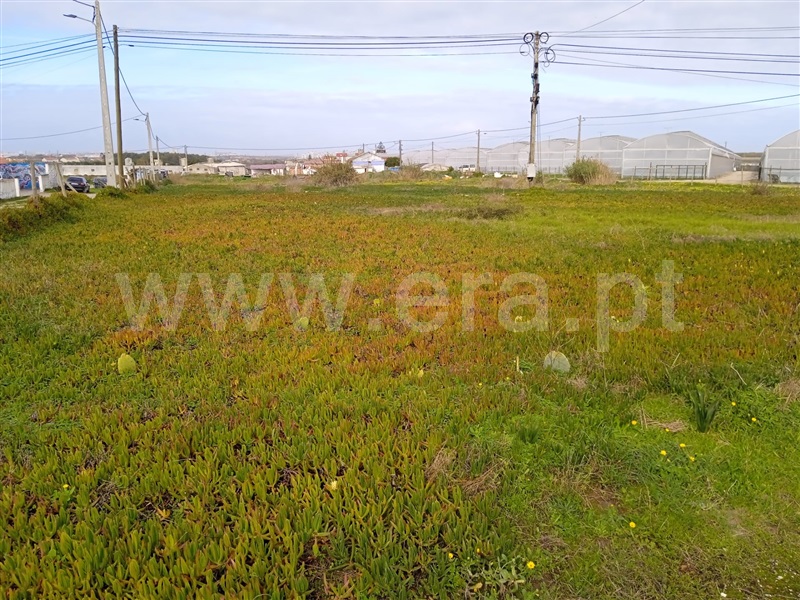 Lote Industrial  Peniche, Porto de Lobos - 1214006 - 2