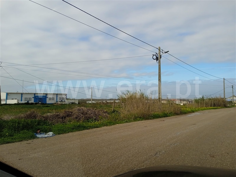 Lote Industrial  Peniche, Porto de Lobos - 1214006 - 3