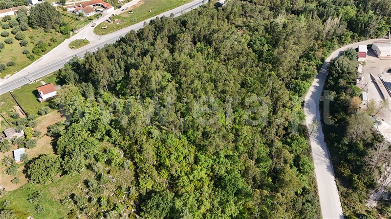 Lote Industrial  Pombal, Redinha - 1396887 - 1
