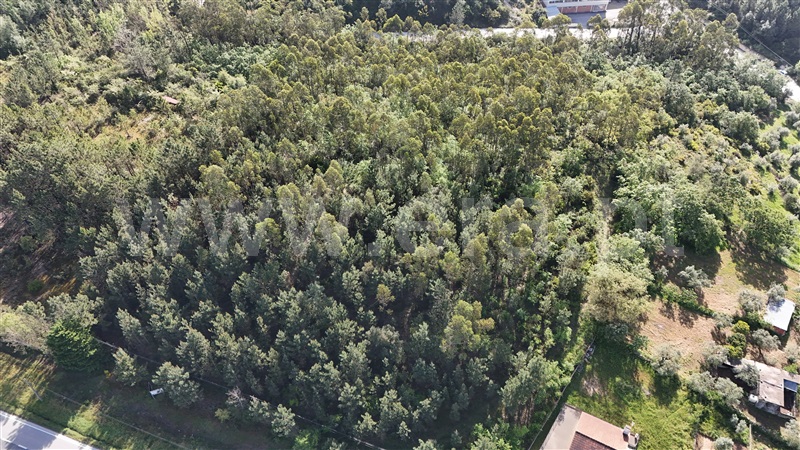 Lote Industrial  Pombal, Redinha - 1396887 - 2