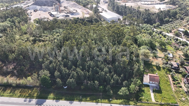 Lote Industrial  Pombal, Redinha - 1396887 - 3
