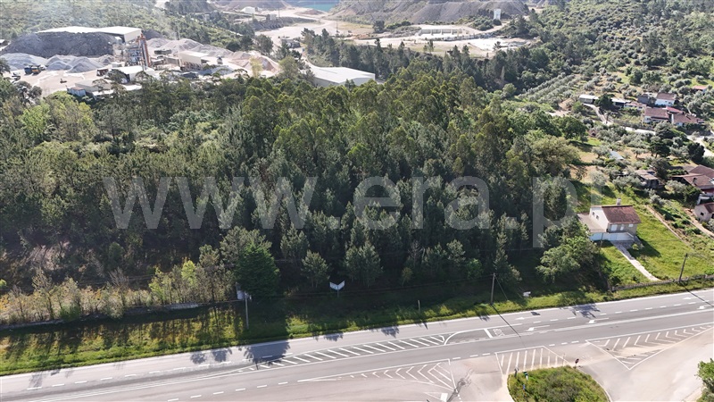 Lote Industrial  Pombal, Redinha - 1396887 - 5