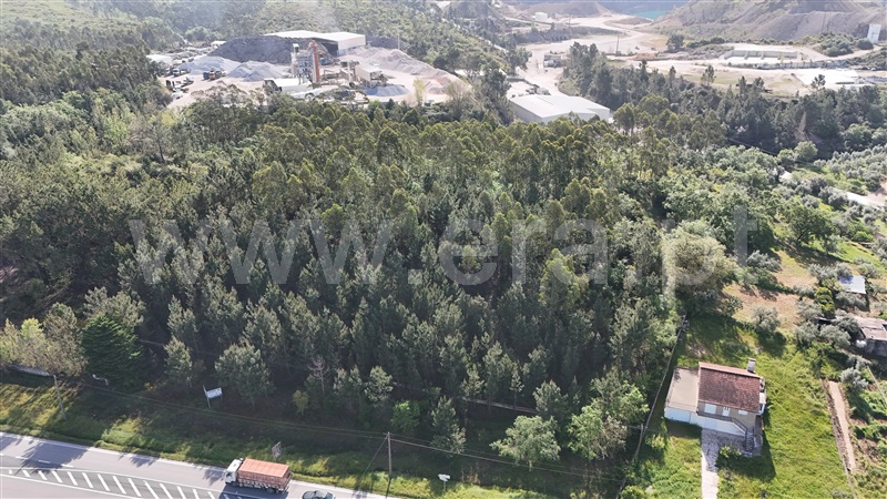 Lote Industrial  Pombal, Redinha - 1396887 - 6