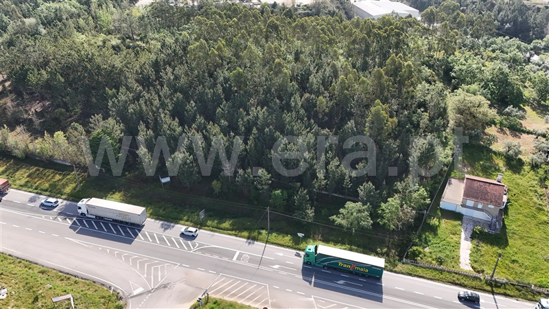 Lote Industrial  Pombal, Redinha - 1396887 - 7