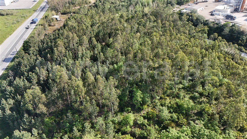 Lote Industrial  Pombal, Redinha - 1396887 - 9