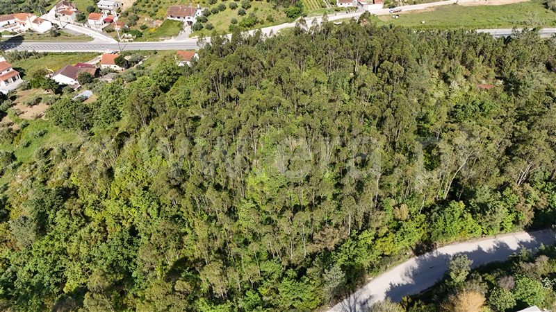 Lote Industrial  Pombal, Redinha - 1396887 - 11