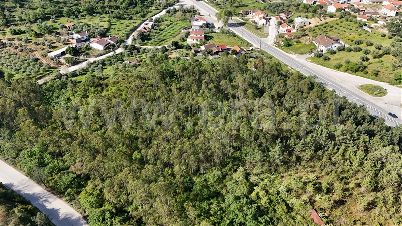 Lote Industrial  Pombal, Redinha - 1396887 - 13
