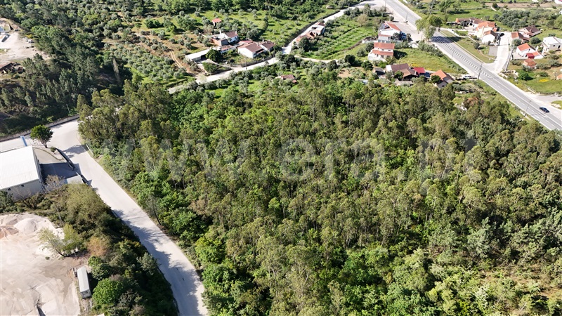 Lote Industrial  Pombal, Redinha - 1396887 - 15