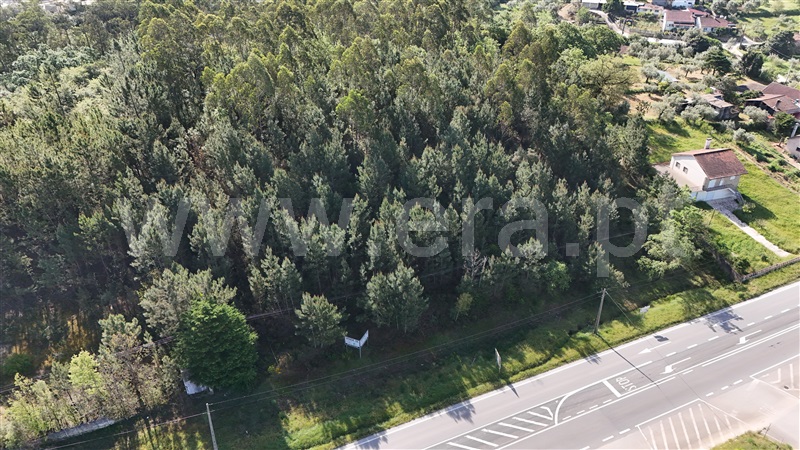 Lote Industrial  Pombal, Redinha - 1396887 - 16