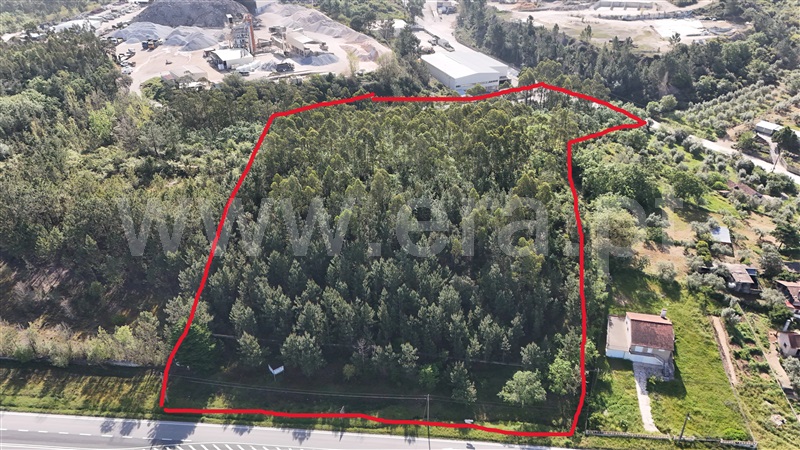 Lote Industrial  Pombal, Redinha - 1396887 - 18