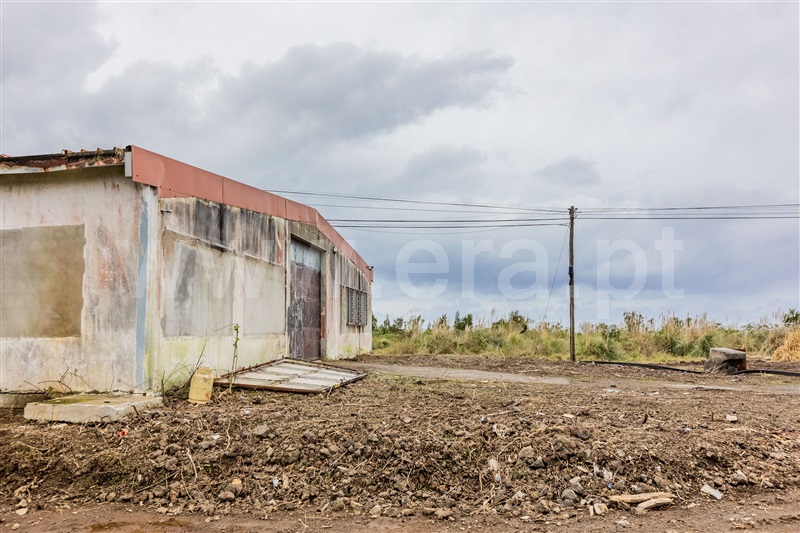 Lote Industrial  Ribeira Grande, Ribeira Grande - 1451934 - 10