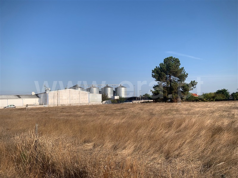 Lote Industrial / Salvaterra de Magos, Salvaterra de Magos e Foros de Salvaterra