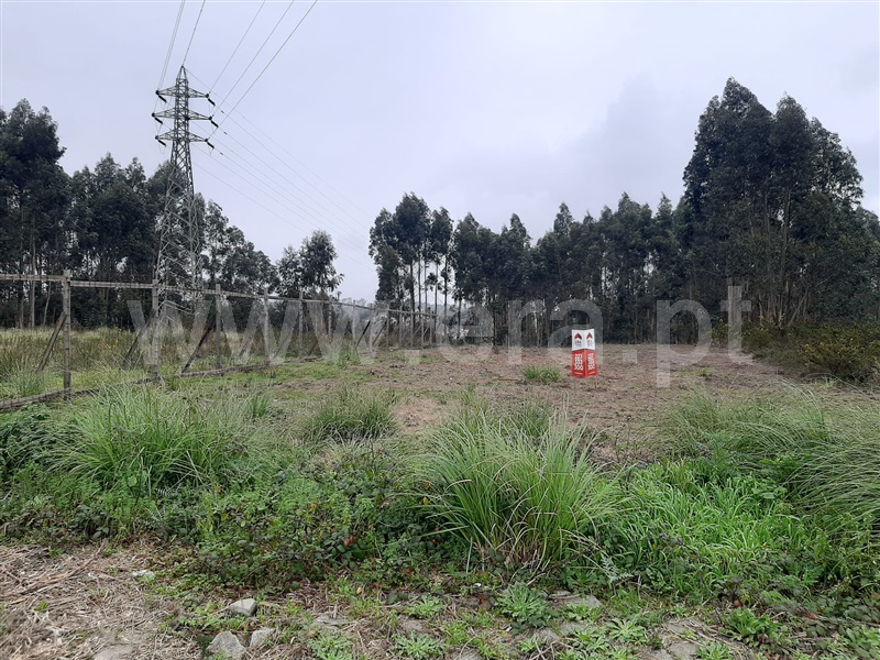 Lote Industrial / Santa Maria da Feira, Sanguedo
