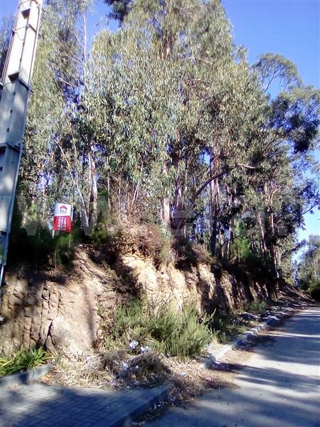Lote Industrial / Santa Maria da Feira, Santa Maria de Lamas