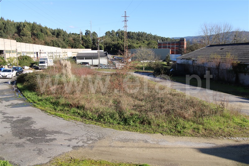 Lote Industrial / Santo Tirso, Palmeira