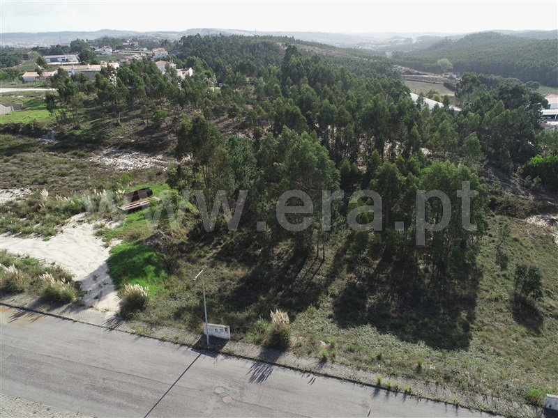 Lote Industrial  Torres Vedras, Santa Maria, São Pedro e Matacães - 1439079 - 1