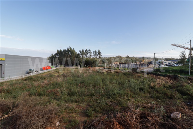 Lote Industrial  Trofa, Alvarelhos e Guidões - 1444942 - 13