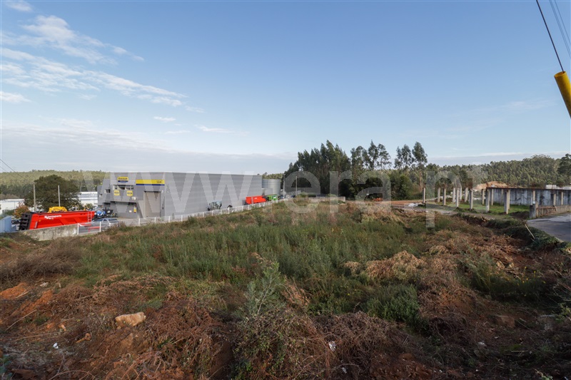 Lote Industrial  Trofa, Alvarelhos e Guidões - 1444942 - 14