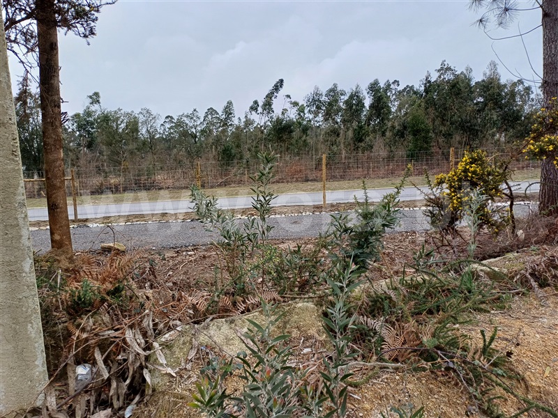 Terreno para Construção  Trofa, São Mamede do Coronado - 1384078 - 8