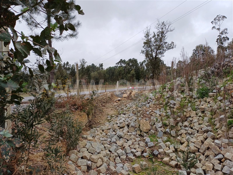 Terreno para Construção  Trofa, São Mamede do Coronado - 1384078 - 9