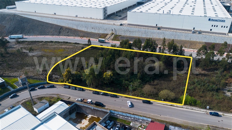 Lote Industrial / Valongo, Campo e Sobrado