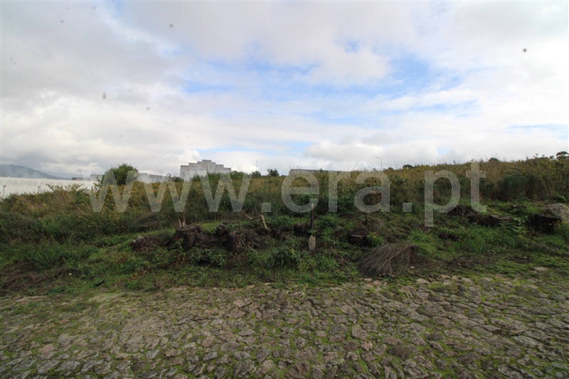 Lote Industrial / Viana do Castelo, Anha