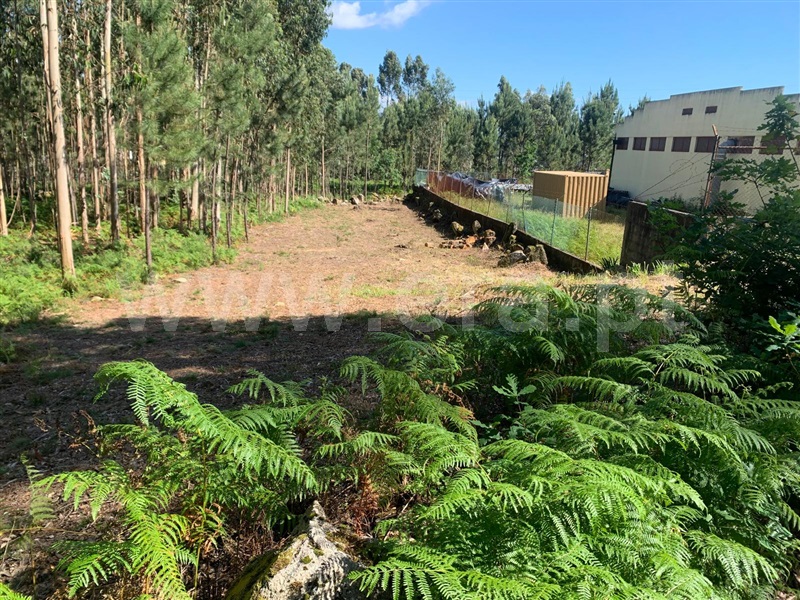 Terreno para Construção  Viana do Castelo, Santa Marta de Portuzelo - 1402777 - 2