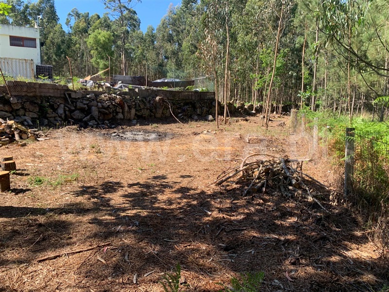 Terreno para Construção  Viana do Castelo, Santa Marta de Portuzelo - 1402777 - 4