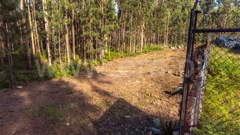 Lote Industrial  Viana do Castelo, Cardielos e Serreleis - 1402777 - 8
