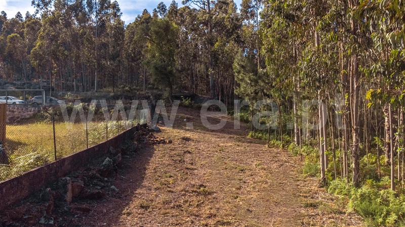 Lote Industrial  Viana do Castelo, Cardielos e Serreleis - 1402777 - 10