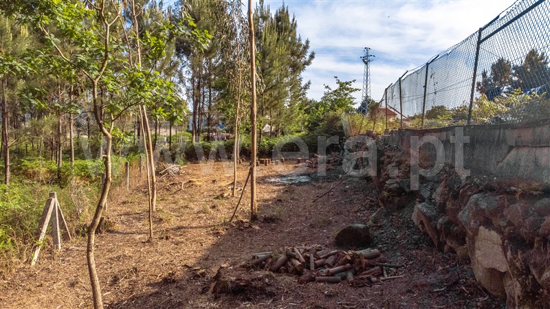 Lote Industrial  Viana do Castelo, Cardielos e Serreleis - 1402777 - 12