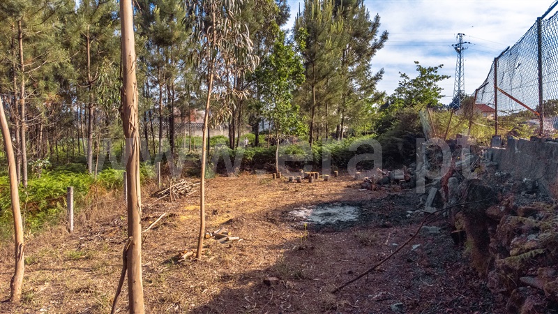 Lote Industrial  Viana do Castelo, Cardielos e Serreleis - 1402777 - 13