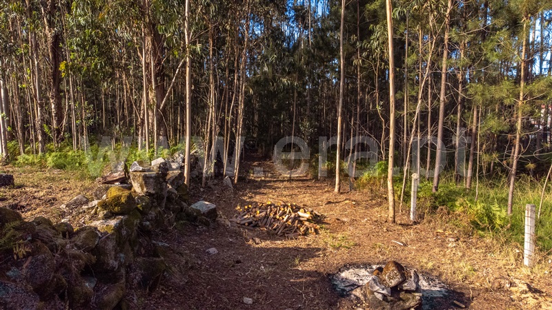 Lote Industrial  Viana do Castelo, Cardielos e Serreleis - 1402777 - 14