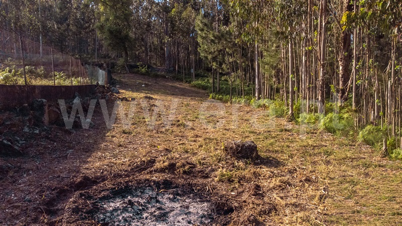 Lote Industrial  Viana do Castelo, Cardielos e Serreleis - 1402777 - 15