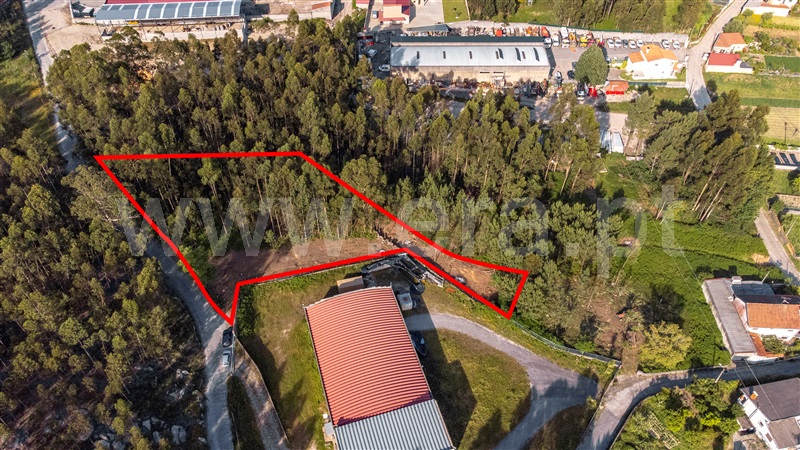 Lote Industrial  Viana do Castelo, Cardielos e Serreleis - 1402777 - 18