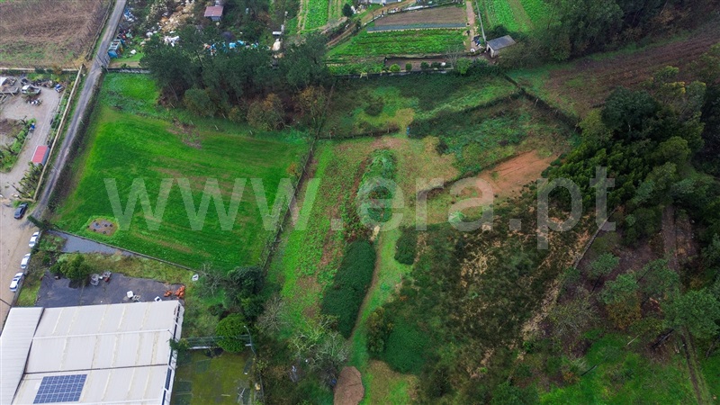 Lote Industrial  Vila Nova de Famalicão, Ribeirão - 1459371 - 2