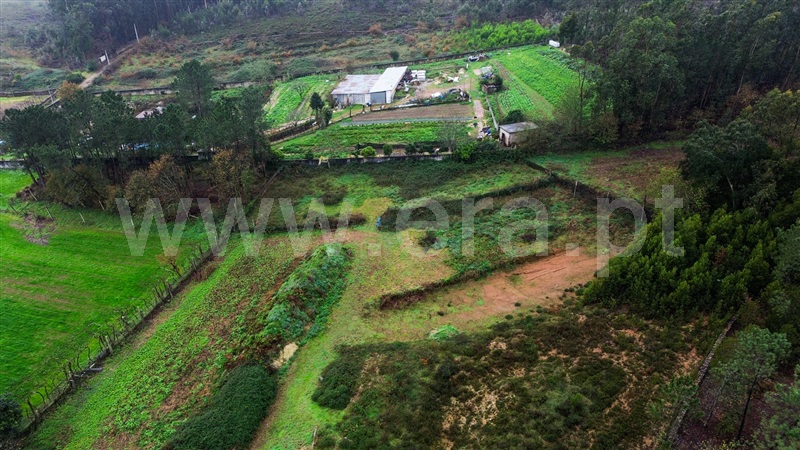 Lote Industrial  Vila Nova de Famalicão, Ribeirão - 1459371 - 4