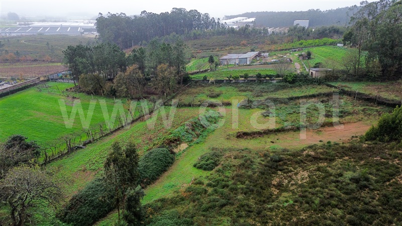 Lote Industrial  Vila Nova de Famalicão, Ribeirão - 1459371 - 6