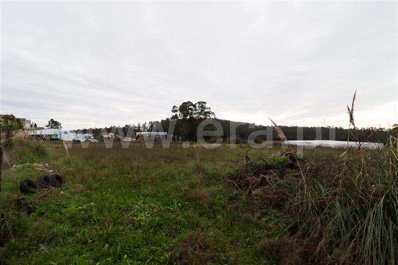 Lote Industrial  Vila Nova de Famalicão, Vilarinho das Cambas - 1444946 - 5