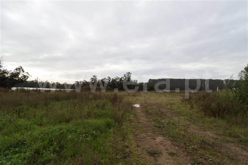 Lote Industrial  Vila Nova de Famalicão, Vilarinho das Cambas - 1444946 - 6
