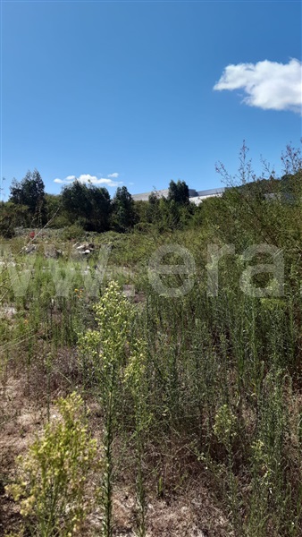 Lote Industrial / Vila Verde, Pico de Regalados, Gondiães e Mós