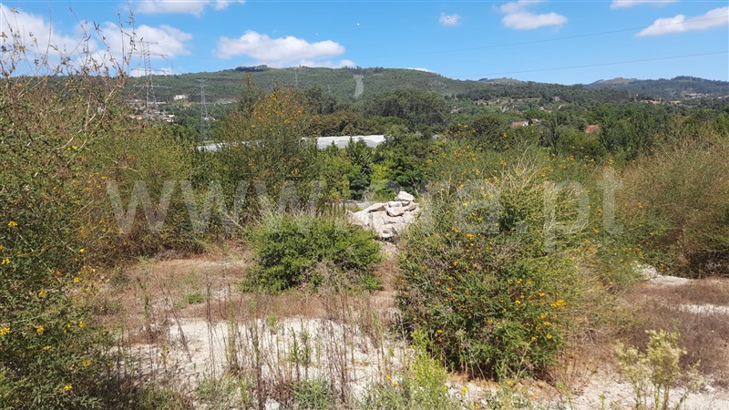 Lote Industrial  Vila Verde, Pico de Regalados, Gondiães e Mós - 1501160 - 6